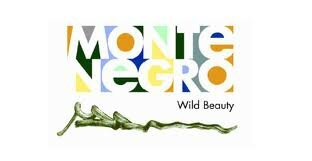 montenegro-logo1